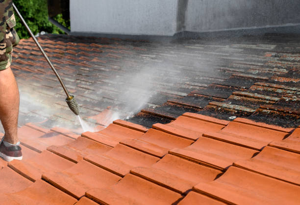 Best Residential Pressure Washing Services  in Fort Pierce, FL